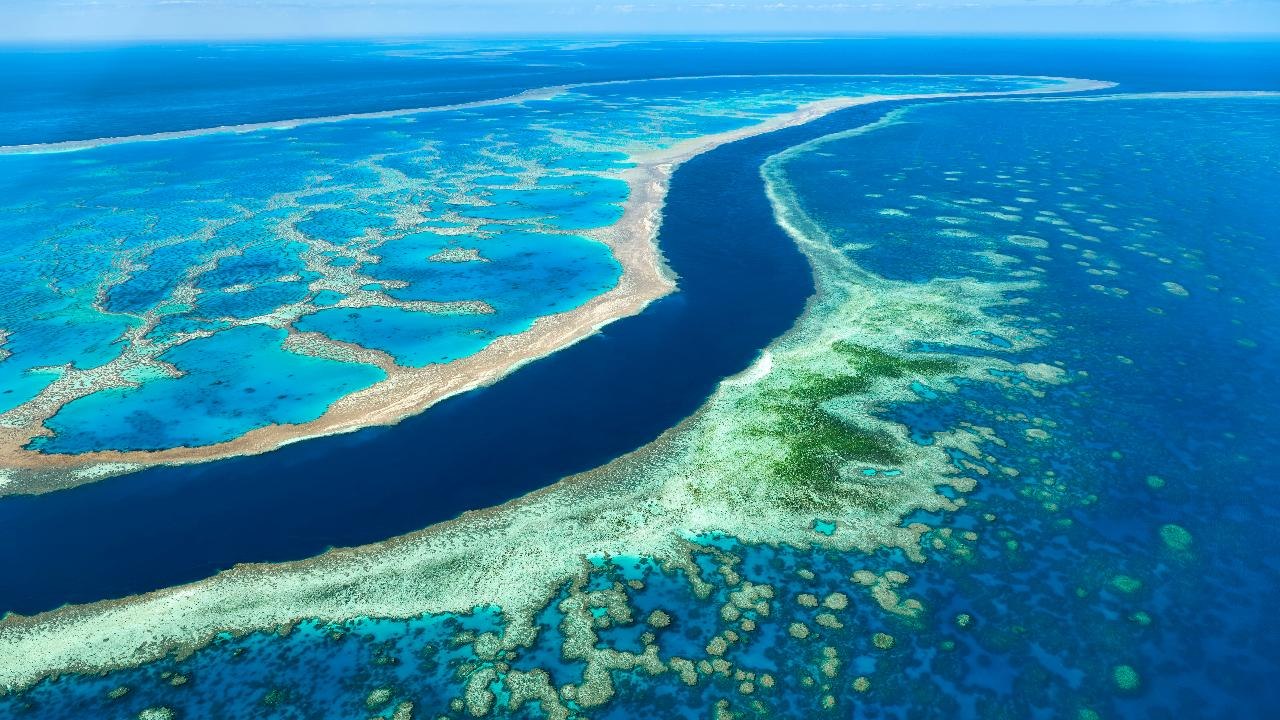 Why It's More Important Than Ever to Visit Australia's Great Barrier Reef