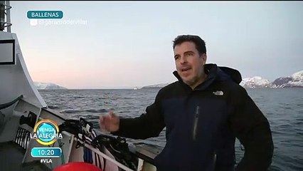 ¡Gerardo del Villar nos lleva a conocer lo maravillosa que es la ballena azul! | Venga La Alegría