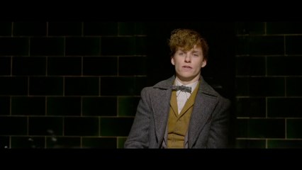 Fantastic Beasts  The Crimes of Grindelwald Final Trailer (2018)