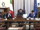 Roma - Audizioni su regolazione rapporti di lavoro (15.01.20)