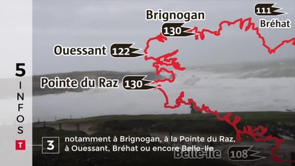 Accident, tempête, phoques... Cinq infos bretonnes du 15 janvier