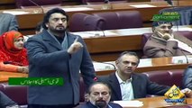 Speaker Adjourned National Assembly Session Due to Rana Sanaullah and Shehryar Afridi Fight