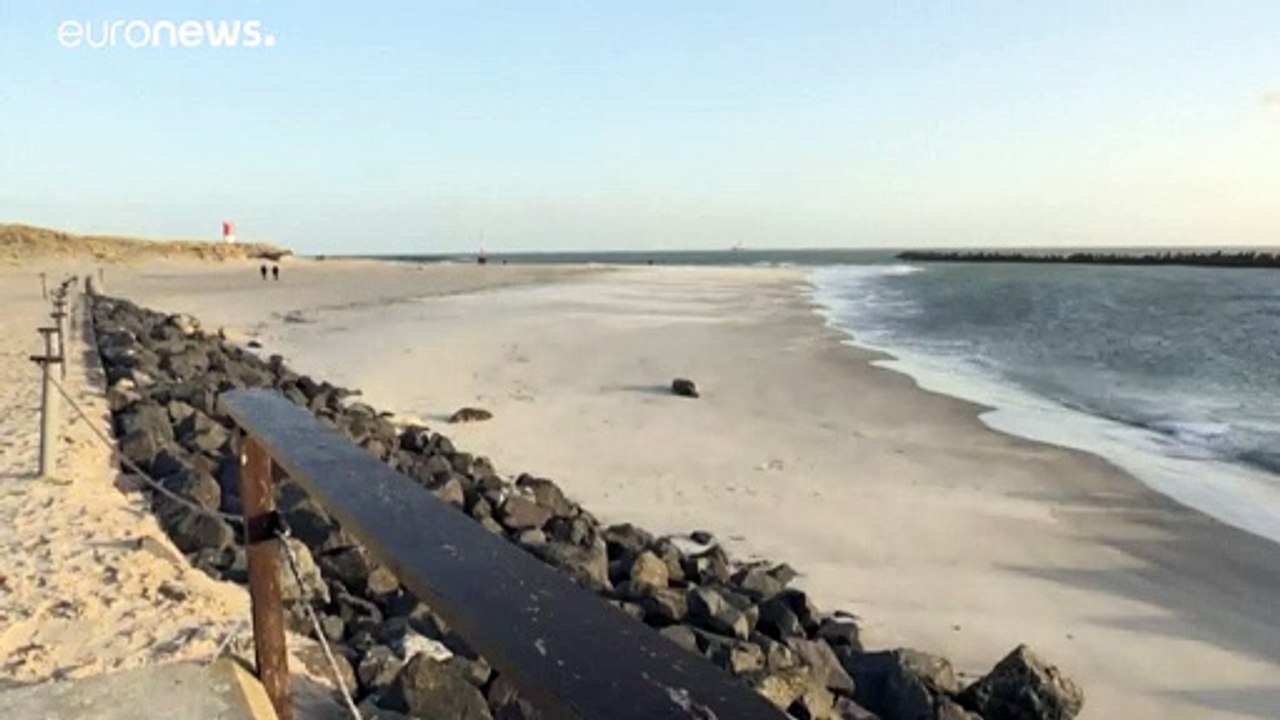 Helgoland, l'isola scelta dalla foche per crescere i loro cuccioli