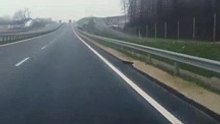 Estrada toca uma música para quem anda na velocidade indicada