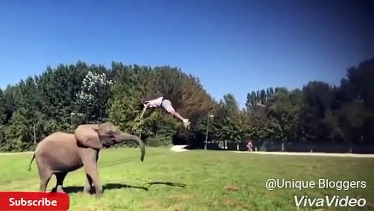 Tricking Freerunning and Parkour with Amazing Flips