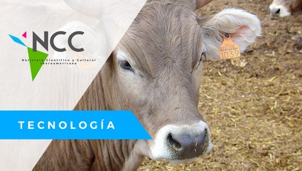 ¿Pro­ble­mas de es­pa­cio? Un es­ta­blo flo­tan­te e in­te­li­gen­te re­vo­lu­cio­na la ga­na­de­ría