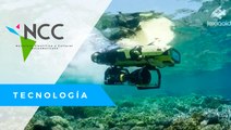 Ro­bots acuá­ti­cos con la mi­sión de sal­var a los co­ra­les aus­tra­lia­nos