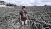 Taal Volcano ash buries pineapples, devastating farm in Philippines