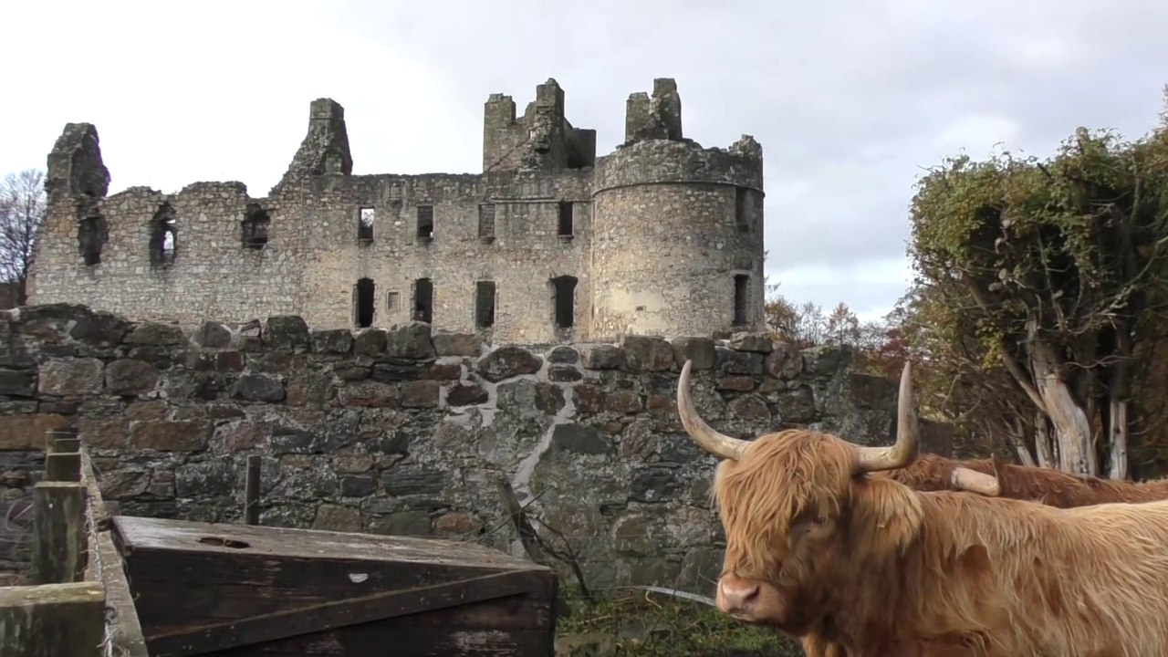 Visite de l'Aberdeenshire : Balvenie castle & Highland cattle