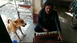 Dog singing with man Teri Meri kahaani