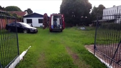 Homem fratura tornozelo ao cair de árvore no Bairro Parque São Paulo