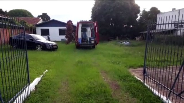 Homem fratura tornozelo ao cair de árvore no Bairro Parque São Paulo