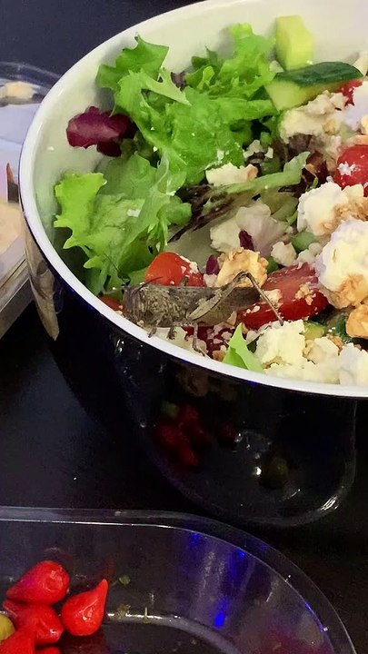 Locus Found in Salad