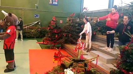 Flash mod du MiniBasket 2019