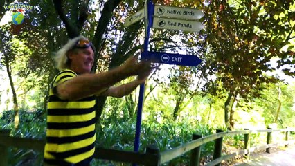 Travel Bugs Go To The Zoo