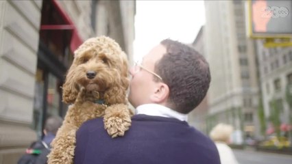 Audio streaming site Spotify now offers playlists for your pets