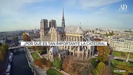 Jesús Vergara Betancourt - Arquitectura - Notre Dame