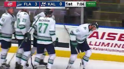Game Recap - Florida Everblades at Kalamazoo Wings