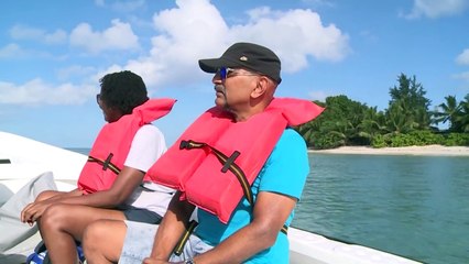 Seychelles islands witness tussle between protection of tourism and tortoises