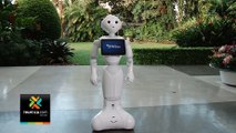 tn7-Empresa costarricense trae el primer robot humanoide al mercado nacional-150120