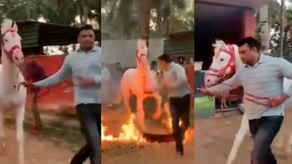 ಫಾರ್ಮ್ ಹೌಸ್ ನಲ್ಲಿ ದರ್ಶನ್ ಸಂಕ್ರಾಂತಿ ಸಂಭ್ರಮ  |FILMIBEAT KANNADA