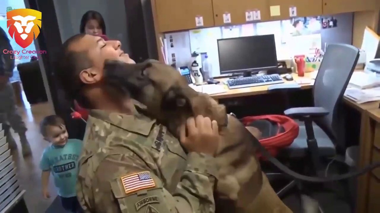 Dogs Welcoming Soldiers Home Compilation