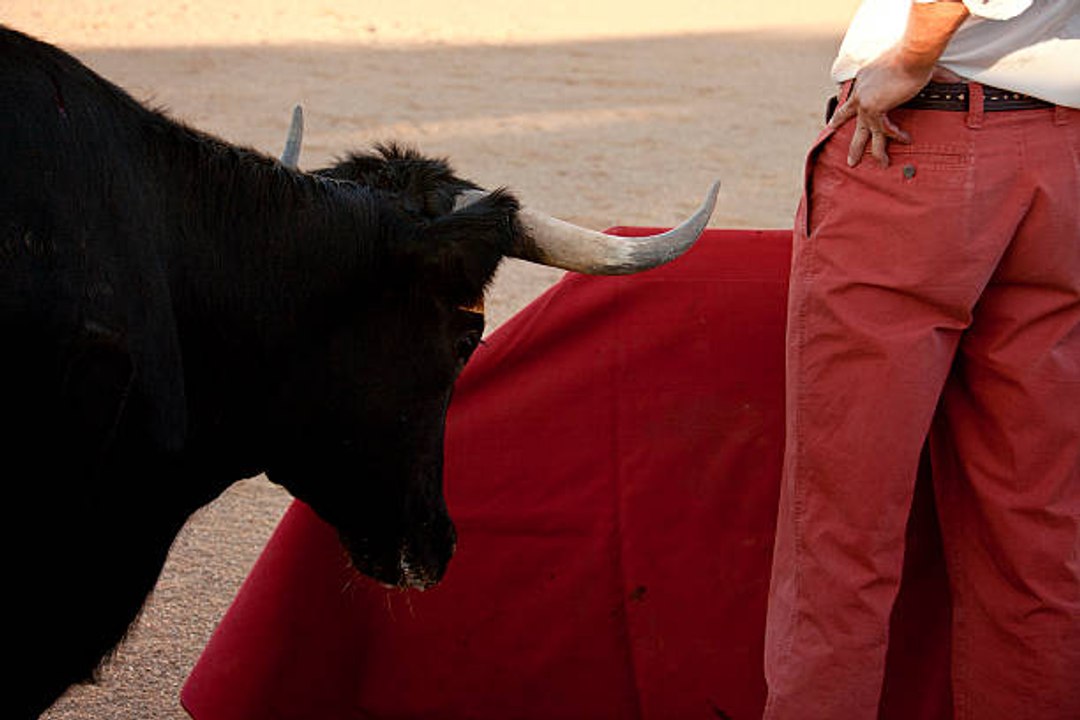 Tauromaquia: su valor cultural en España