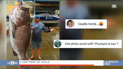 Une bagarre dans un restaurant en Angleterre fait le buzz sur les réseaux sociaux - Découvrez pourquoi - VIDEO