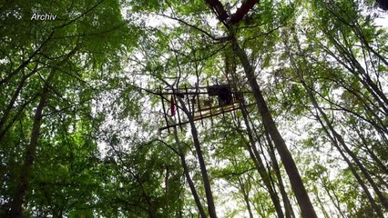 Bund und Länder vereinbaren Fahrplan für Kohleausstieg
