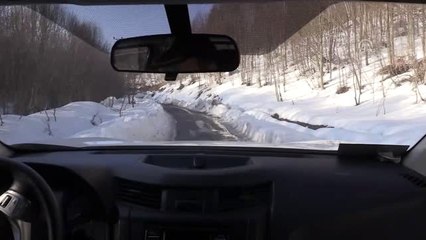 Av ve yaban hayvanları için doğaya yem bırakıldı