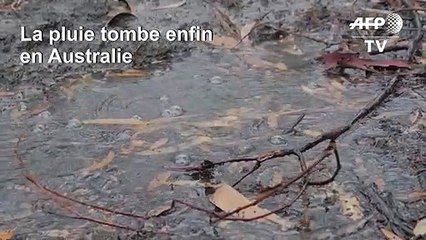 La pluie, enfin, sur les incendies en Australie