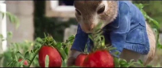 Fragman da tamam, eğlenceli macera "Peter Rabbit 2", 3 Nisan'da vizyonda