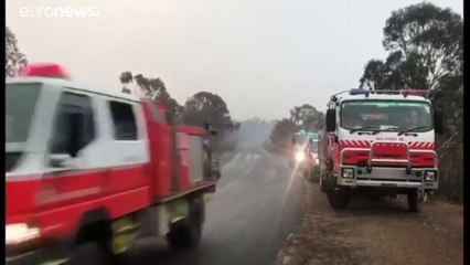 В охваченной пожарами Австралии пошли дожди
