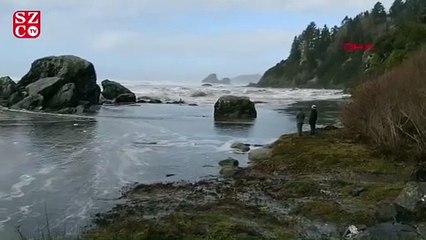 Denizi izleyen turistleri dalga vurdu