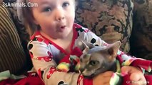 Baby and Cat are Best Friends  Funny Pets Videos