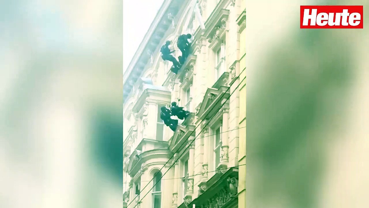 WEGA dringt durch Fenster ein – das ist der Grund