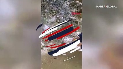 Sincabın güldüren rubik küpü merakı