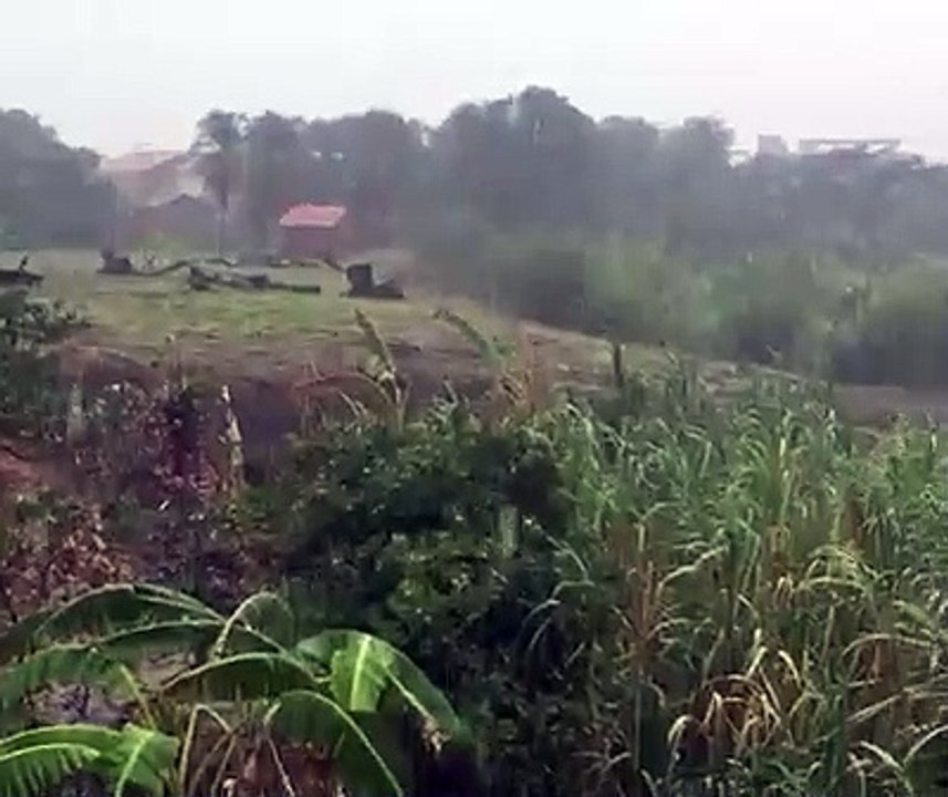 Raio atinge árvore no Bairro Mourão, em Itapipoca