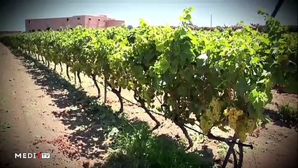 يوميات الفلاح - 16/01/2020