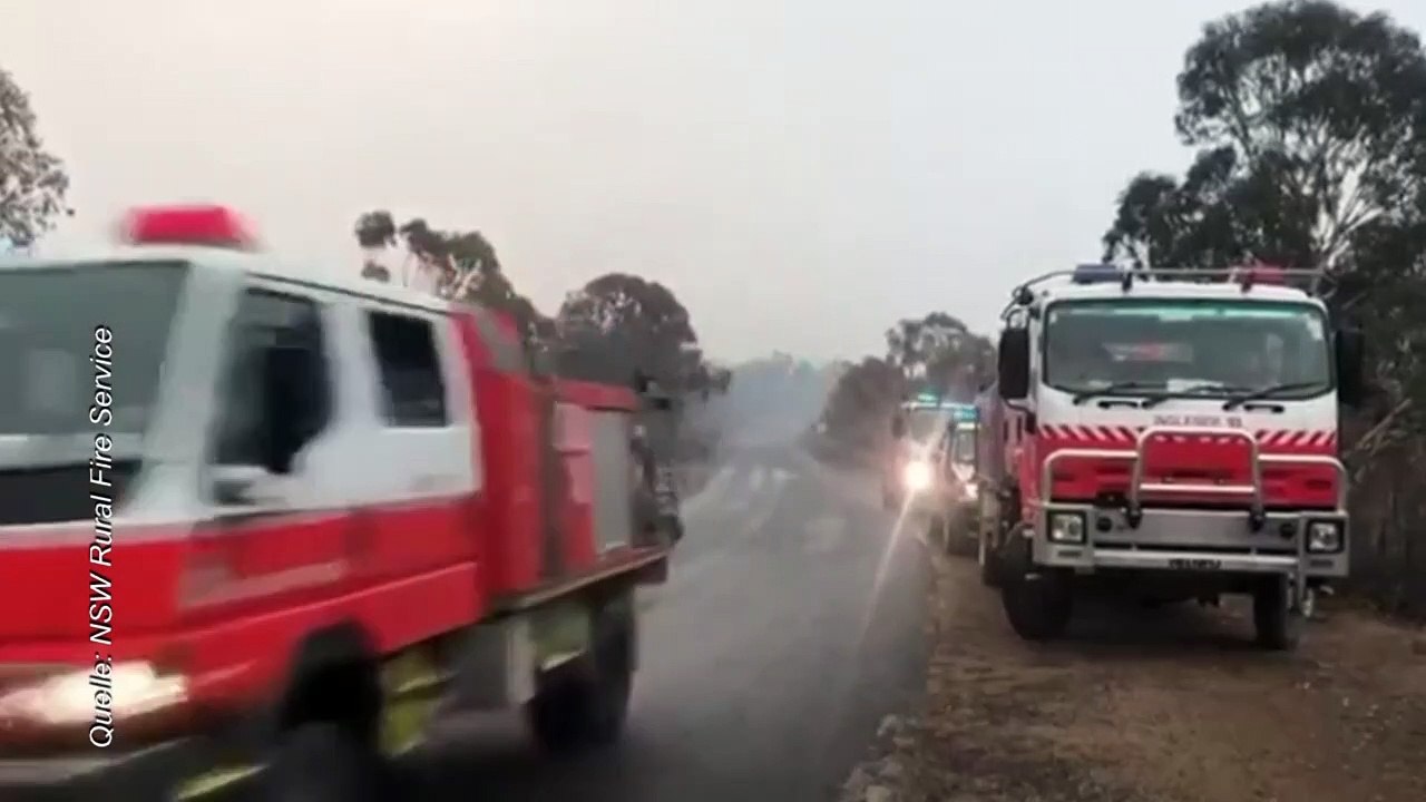 Lang ersehnter Regen in Australiens Brandgebieten