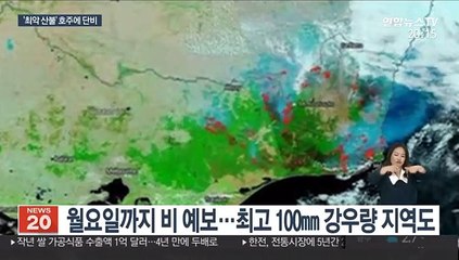'석 달 넘게 불탄 호주'에 반가운 단비…산불 진화 숨통