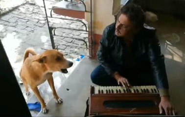 Dog Joining His Owner To Sing Ranu Mondal's Viral Song | Oneindia Malayalam