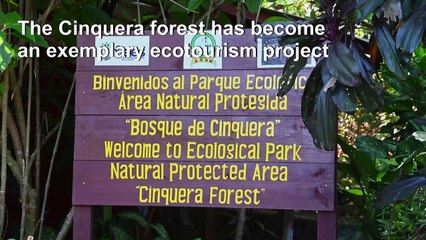 Former guerrillas protect forest that sheltered them in Salvadoran civil war