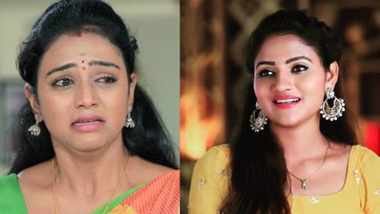 ಮತ್ತೆ ಶುರುವಾಯ್ತು ಪುಟ್ಟಗೌರಿ ಹವಾ | KANNADATHI | RANJINI | FILMIBEAT KANNADA