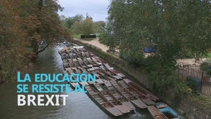 ESPECIAL BREXIT: De primaria a la universidad, la educación se resiste al brexit