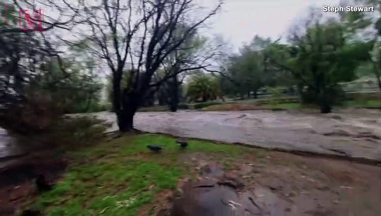 Rain Falls in Australia, Aussies Celebrate in the Mud