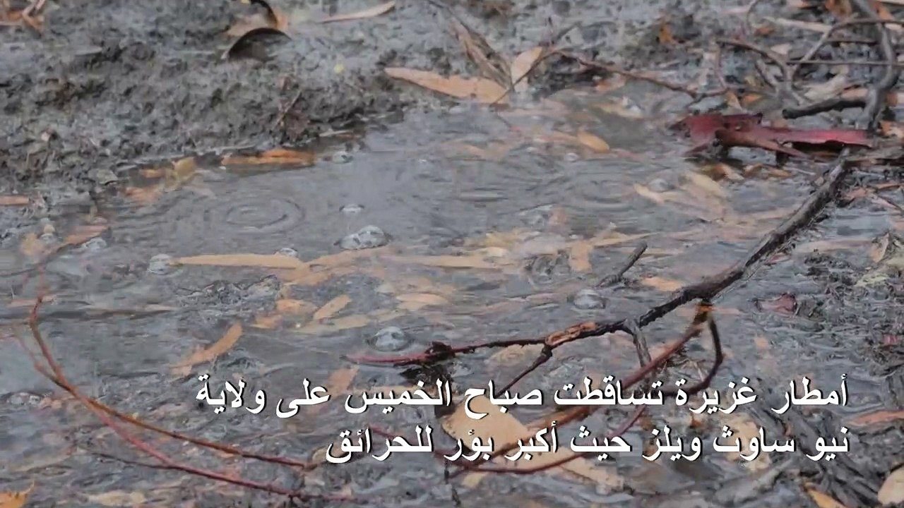 الامطار تتساقط أخيرا على استراليا وتساهم في إخماد الحرائق