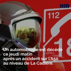 Automobiliste décédé; Hibou grand-duc criblé de plombs; Municipales à Fréjus: voici votre brief info  de ce jeudi après-midi