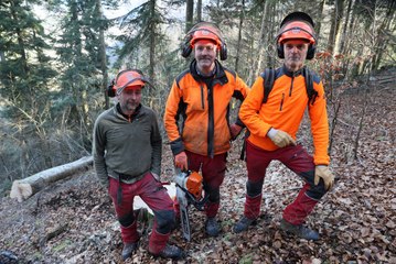 Pas de pénibilité pour les bûcherons communaux