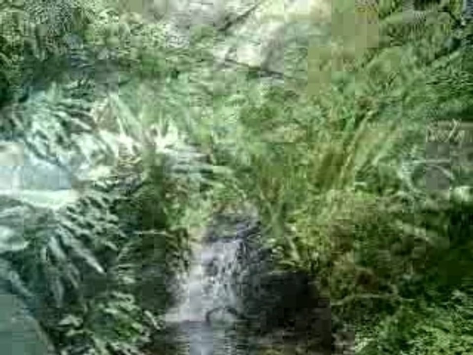 IIe_de_Penang_Malaisie_Part_2